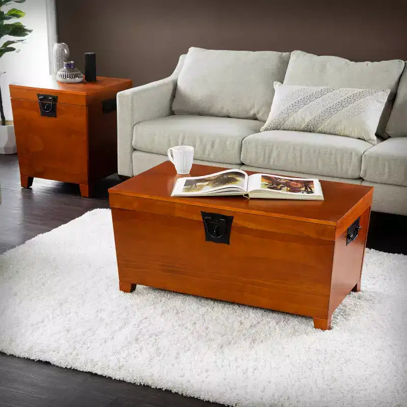 Lift-Top Trunk Coffee Table with Storage, Brown