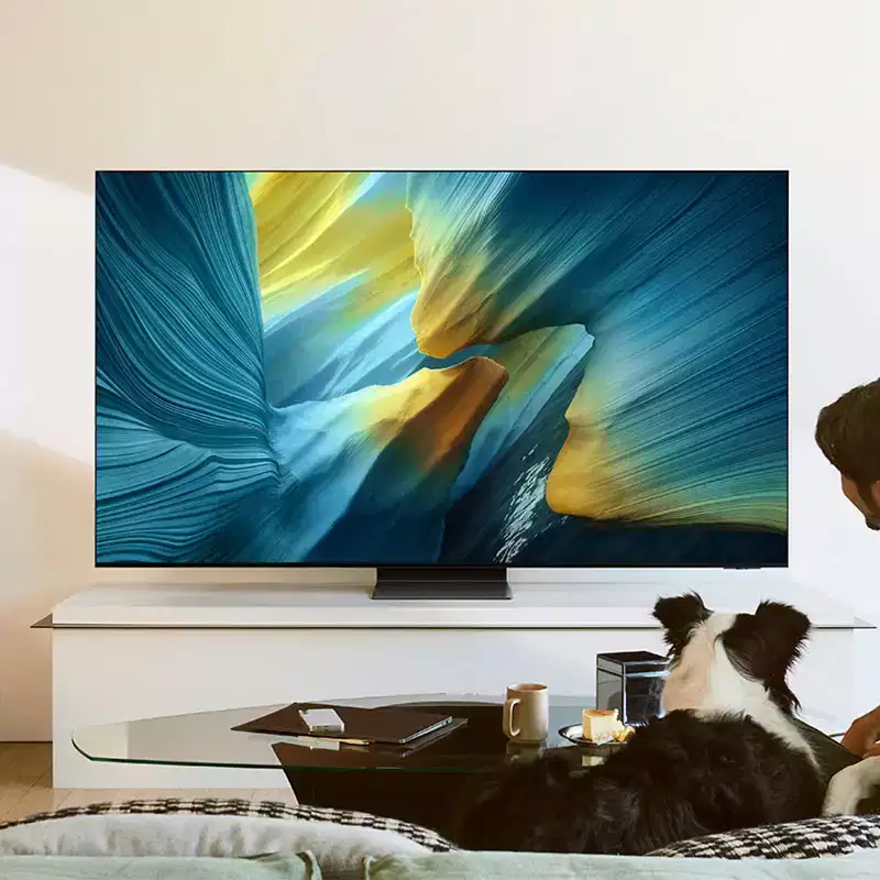 Samsung S95F 55 4K OLED Smart TV