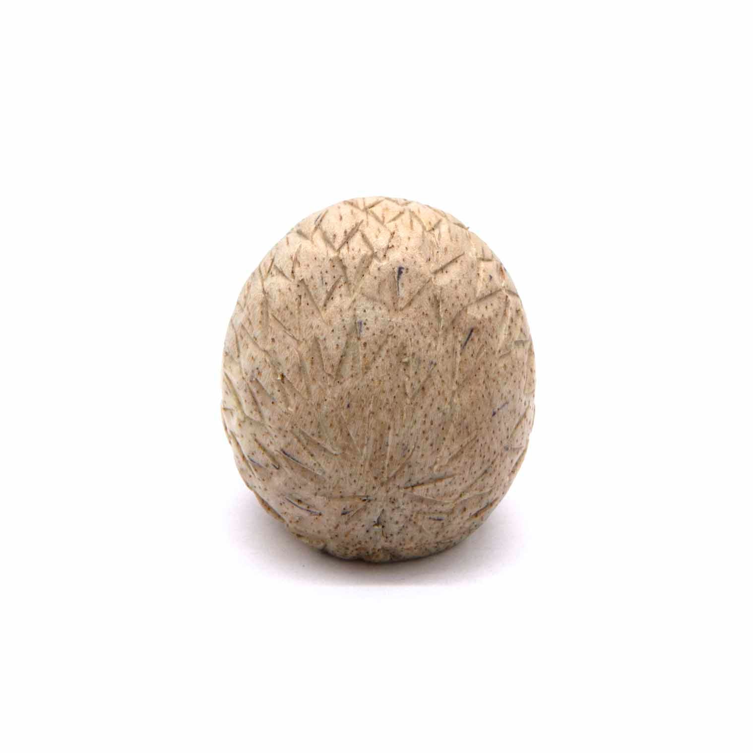 Mini Hedgehog Carving