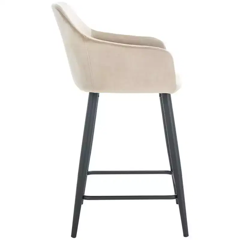 Cataleya Counter Stool - BST7503 - Safavieh