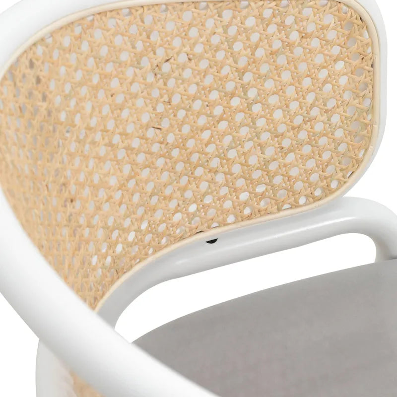 Modern Stylish Dining Arm Chair with Rattan Back and Steel Legs