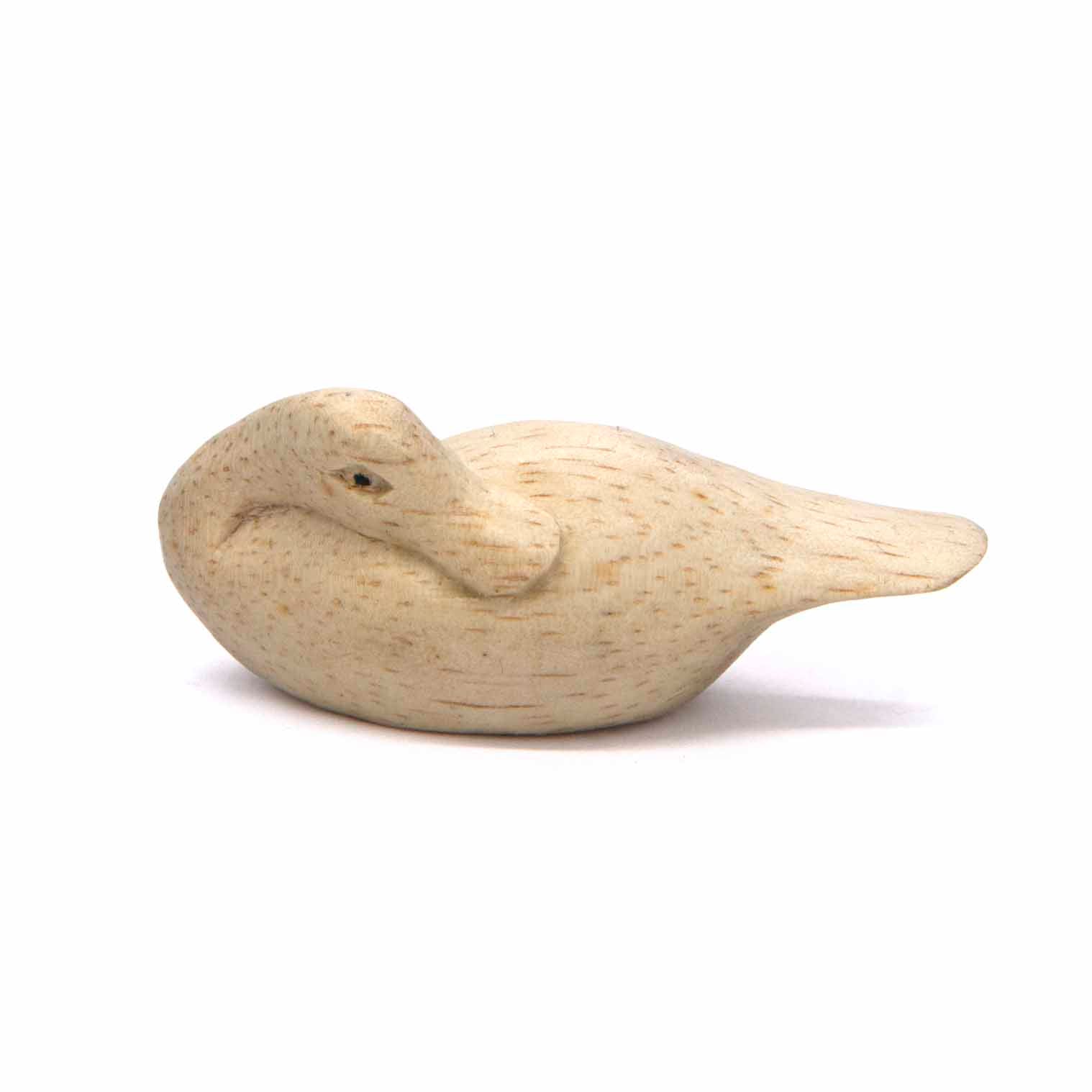 Sleeping Duck Carving in Albizia Wood