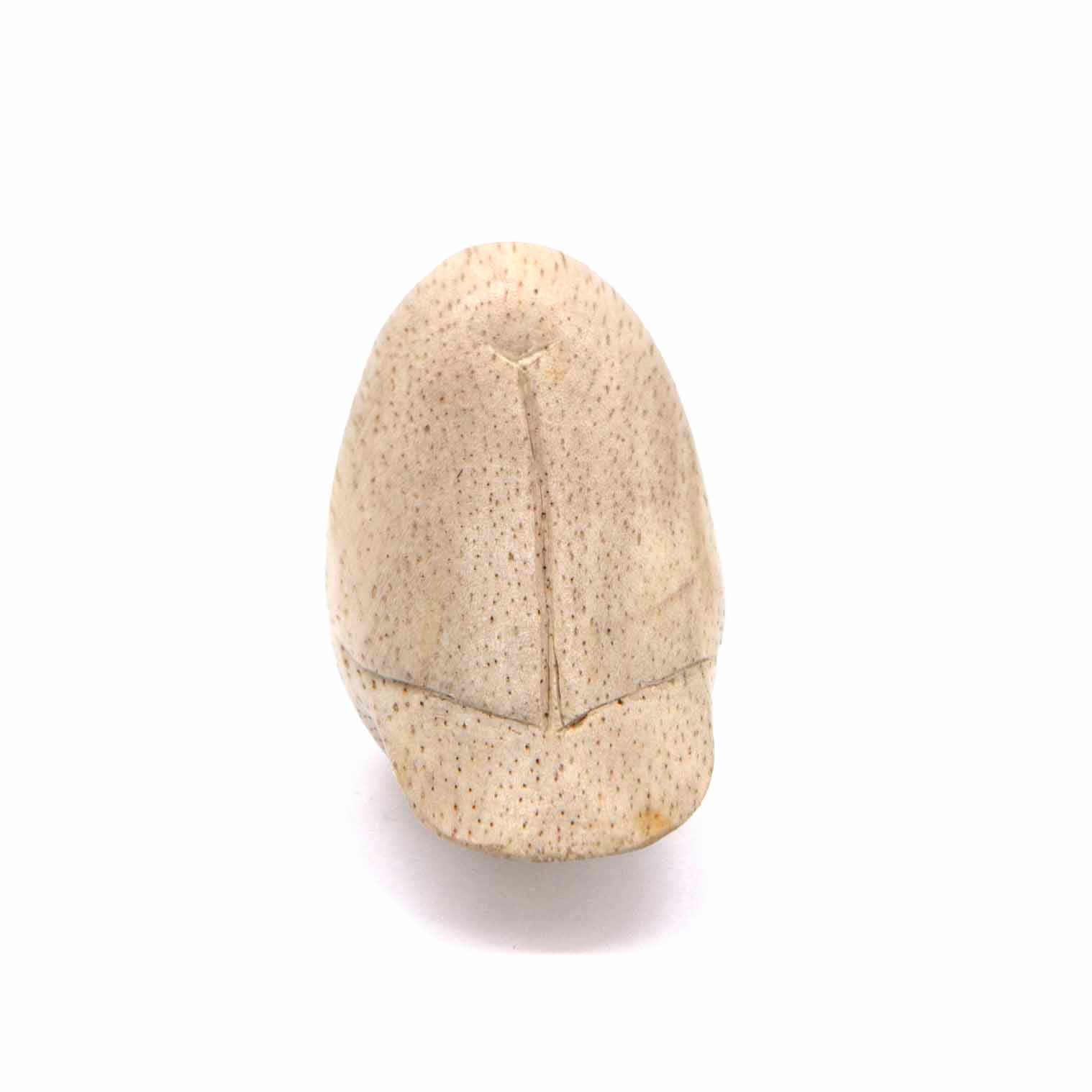 Mini Bird Carving
