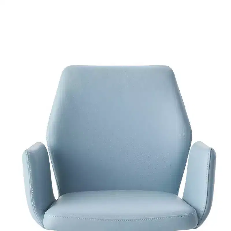 24 Segismunda Accent Chair Light Blue Leather/Black Finish - Acme Furniture
