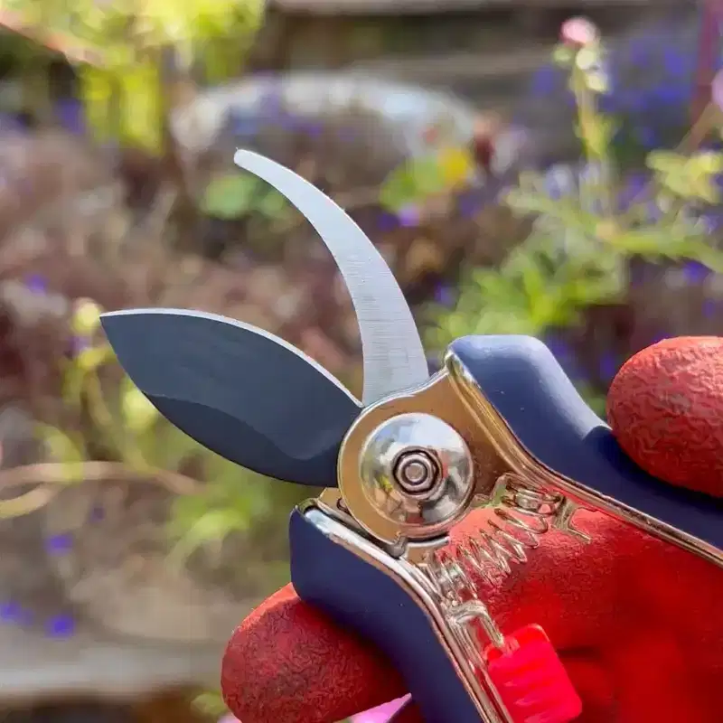 Spear & Jackson Razorsharp Mini Pruner Set for Small Garden Tasks and Bonsai Care, 2 Piece Precision Compact Lightweight Ergonomic Pruning Shears