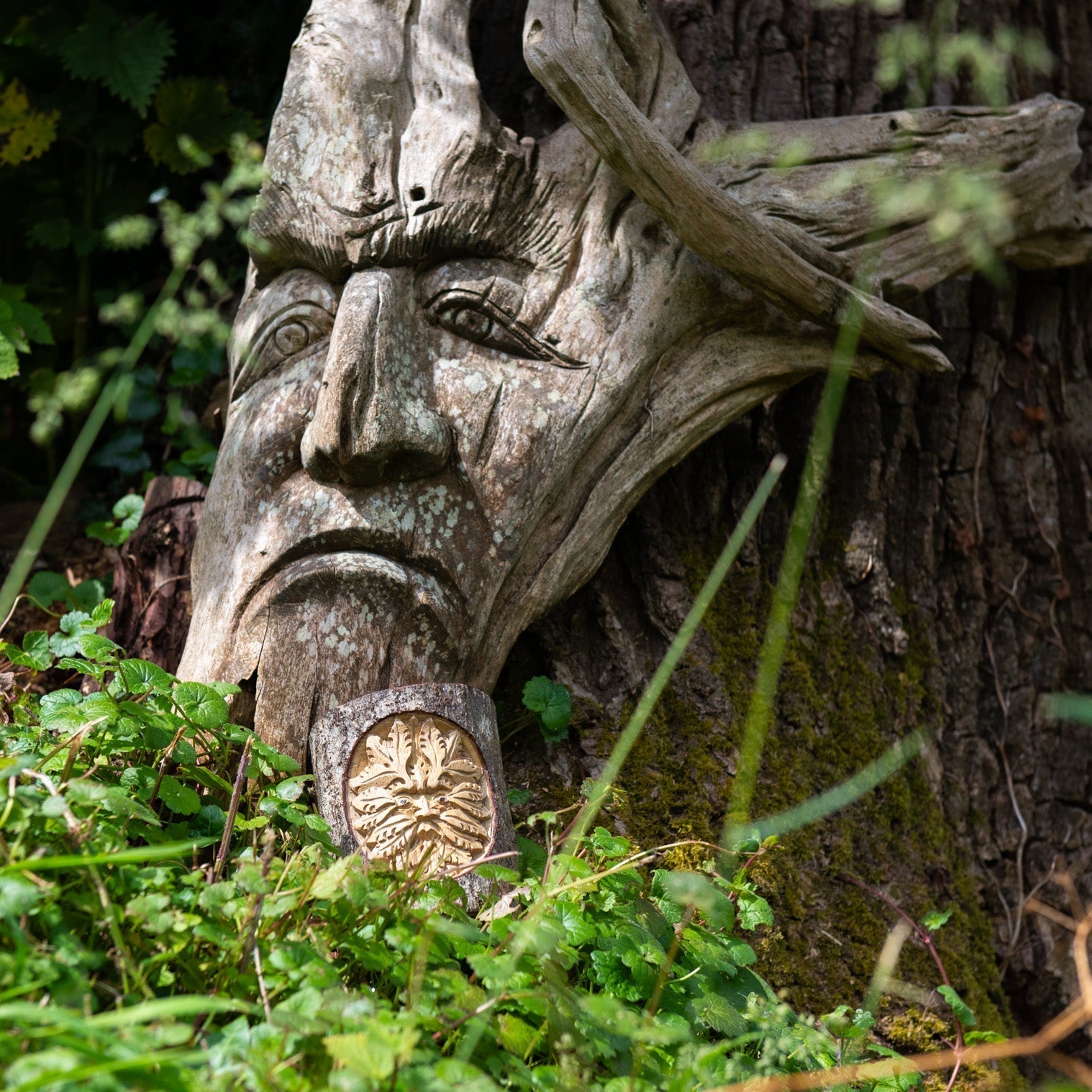 Green Man Carved Trunk Section