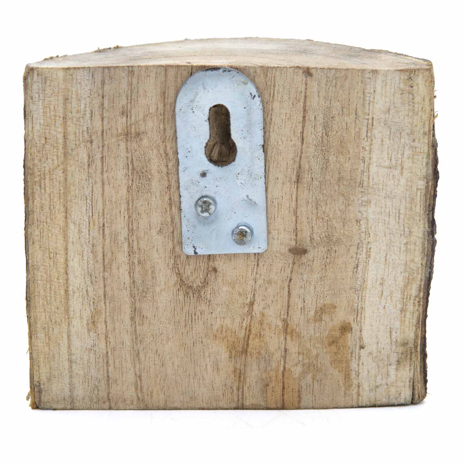 Owl Carved in Log Section