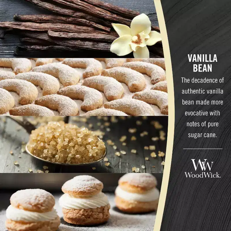 WoodWick 2pk Journey Car Air Fresheners Universal Refill Vanilla Bean
