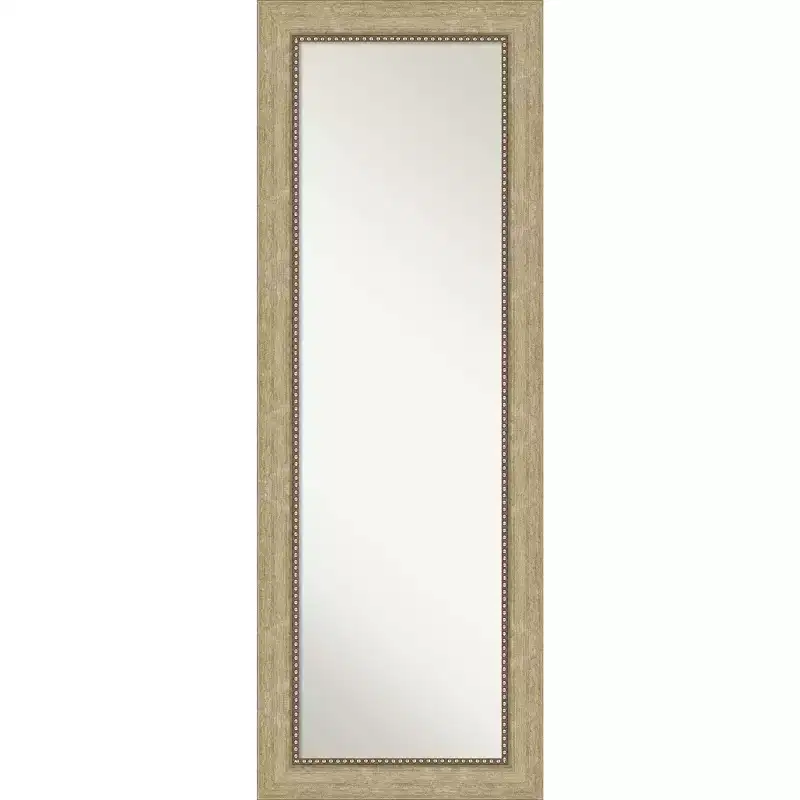19" x 53" Non-Beveled Astor Champagne Full Length on The Door Mirror - Amanti Art: Includes Mounting Hardware, Polystyrene Frame