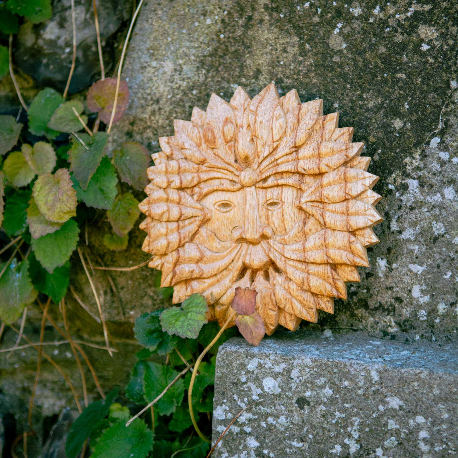 Green Man Round Wood Plaque
